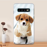Samsung Galaxy S10 Case Cover TPU Soft Fundas For Samsung Galaxy S10 Case Shockproof Protective