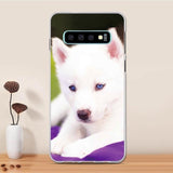 Samsung Galaxy S10 Case Cover TPU Soft Fundas For Samsung Galaxy S10 Case Shockproof Protective