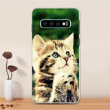 Samsung Galaxy S10 Case Cover TPU Soft Fundas For Samsung Galaxy S10 Case Shockproof Protective